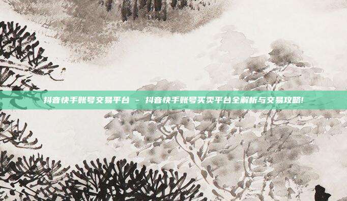 抖音快手账号交易平台 - 抖音快手账号买卖平台全解析与交易攻略!  第1张