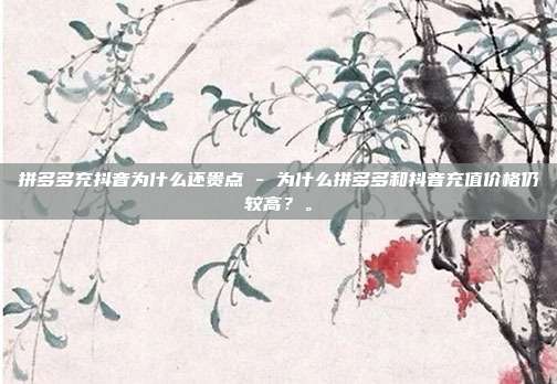 拼多多充抖音为什么还贵点 - 为什么拼多多和抖音充值价格仍较高？。  第1张