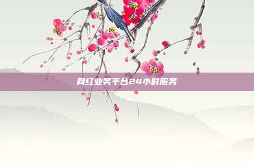 网红业务平台24小时服务  第1张