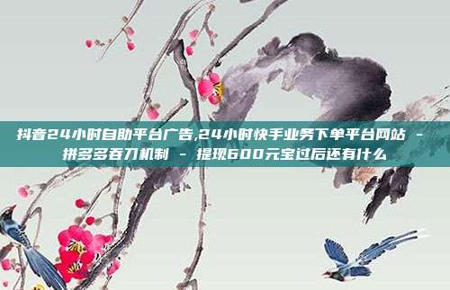 抖音24小时自助平台广告,24小时快手业务下单平台网站 - 拼多多吞刀机制 提现600元宝过后还有什么  第1张