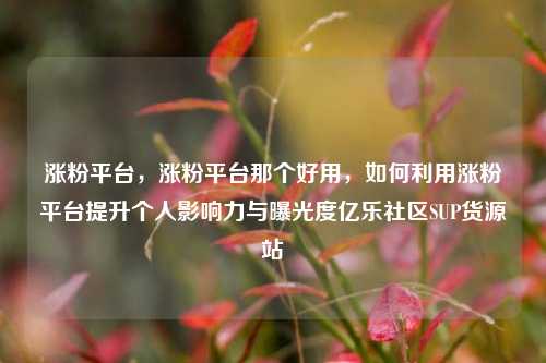 涨粉平台，涨粉平台那个好用	，如何利用涨粉平台提升个人影响力与曝光度亿乐社区SUP货源站  第1张