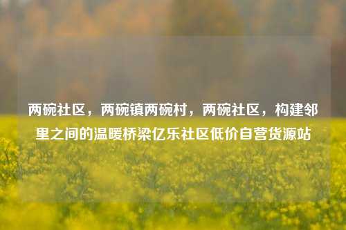 两碗社区，两碗镇两碗村	，两碗社区，构建邻里之间的温暖桥梁亿乐社区低价自营货源站  第1张