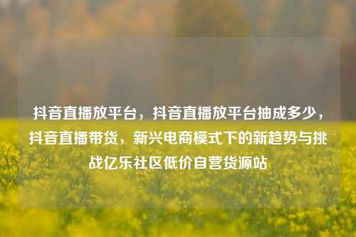 抖音直播放平台，抖音直播放平台抽成多少	，抖音直播带货，新兴电商模式下的新趋势与挑战亿乐社区低价自营货源站  第1张