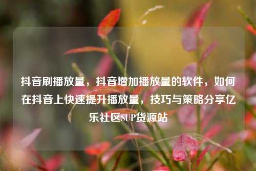 抖音刷播放量，抖音增加播放量的软件，如何在抖音上快速提升播放量	，技巧与策略分享亿乐社区SUP货源站  第1张