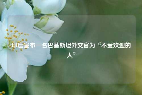 印度宣布一名巴基斯坦外交官为“不受欢迎的人	”  第1张