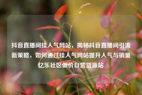 抖音直播间挂人气网站	，揭秘抖音直播间引流新策略，如何通过挂人气网站提升人气与销量亿乐社区低价自营货源站  第1张