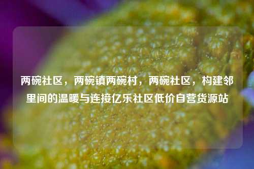 两碗社区	，两碗镇两碗村，两碗社区，构建邻里间的温暖与连接亿乐社区低价自营货源站  第1张