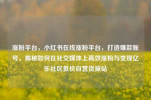 涨粉平台，小红书在线涨粉平台，打造爆款账号	，揭秘如何在社交媒体上高效涨粉与变现亿乐社区低价自营货源站  第1张