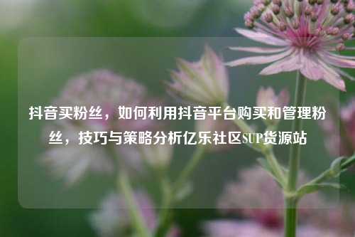 抖音买粉丝，如何利用抖音平台购买和管理粉丝，技巧与策略分析亿乐社区SUP货源站  第1张