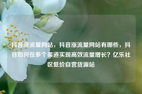抖音涨流量网站，抖音涨流量网站有哪些，抖音如何在多个渠道实现高效流量增长？亿乐社区低价自营货源站  第1张