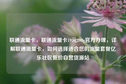 联通流量卡，联通流量卡19元200g官方办理	，详解联通流量卡，如何选择适合您的流量套餐亿乐社区低价自营货源站  第1张