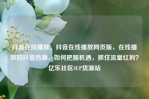 抖音在线播放	，抖音在线播放网页版，在线播放的抖音热潮，如何把握机遇	，抓住流量红利？亿乐社区SUP货源站  第1张
