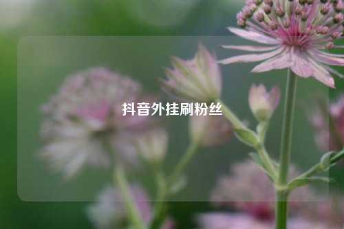 抖音外挂刷粉丝  第1张