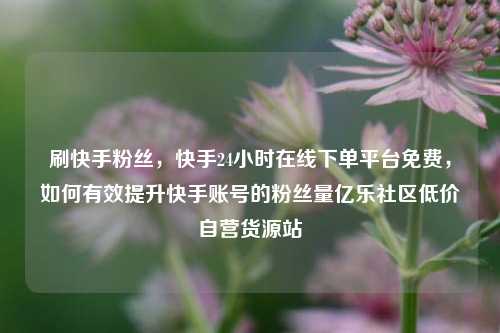 刷快手粉丝，快手24小时在线下单平台免费	，如何有效提升快手账号的粉丝量亿乐社区低价自营货源站  第1张