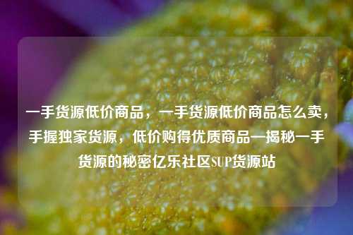 一手货源低价商品，一手货源低价商品怎么卖，手握独家货源	，低价购得优质商品—揭秘一手货源的秘密亿乐社区SUP货源站  第1张