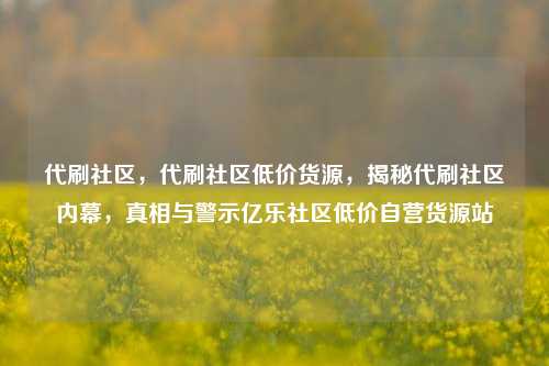 代刷社区，代刷社区低价货源，揭秘代刷社区内幕	，真相与警示亿乐社区低价自营货源站  第1张