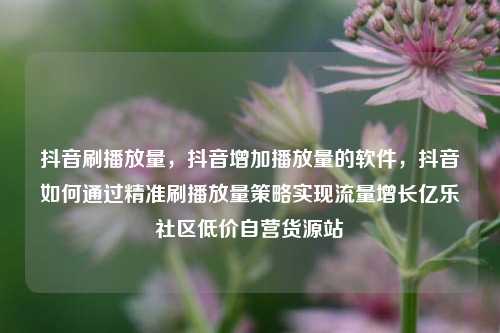 抖音刷播放量	，抖音增加播放量的软件，抖音如何通过精准刷播放量策略实现流量增长亿乐社区低价自营货源站  第1张