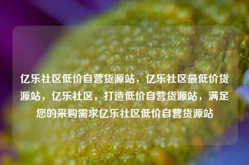 亿乐社区低价自营货源站，亿乐社区最低价货源站，亿乐社区	，打造低价自营货源站，满足您的采购需求亿乐社区低价自营货源站  第1张