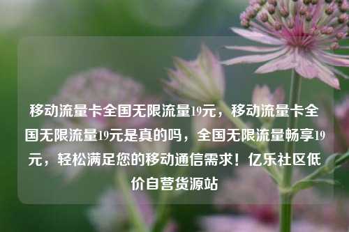 移动流量卡全国无限流量19元，移动流量卡全国无限流量19元是真的吗	，全国无限流量畅享19元，轻松满足您的移动通信需求！亿乐社区低价自营货源站  第1张