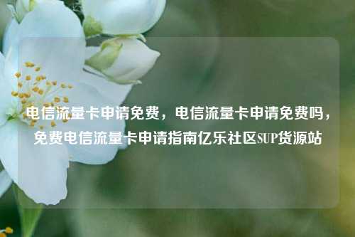 电信流量卡申请免费	，电信流量卡申请免费吗，免费电信流量卡申请指南亿乐社区SUP货源站  第1张
