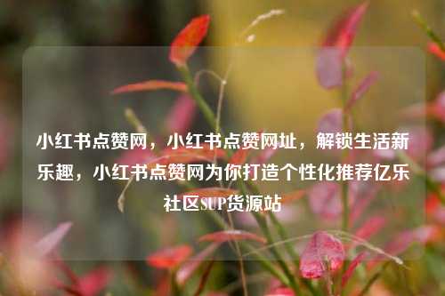 小红书点赞网，小红书点赞网址，解锁生活新乐趣，小红书点赞网为你打造个性化推荐亿乐社区SUP货源站  第1张