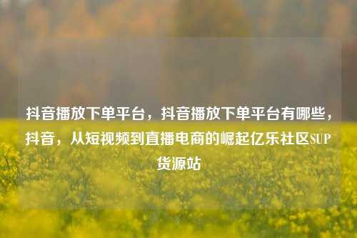 抖音播放下单平台，抖音播放下单平台有哪些，抖音	，从短视频到直播电商的崛起亿乐社区SUP货源站  第1张