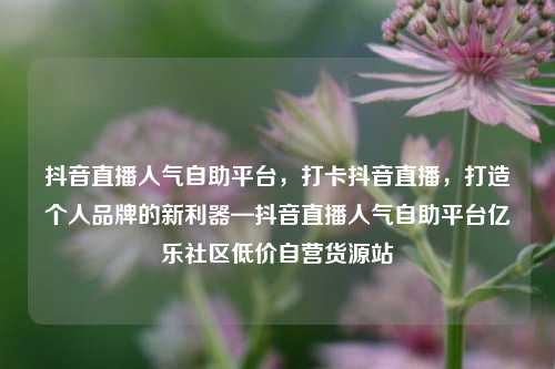 抖音直播人气自助平台，打卡抖音直播，打造个人品牌的新利器—抖音直播人气自助平台亿乐社区低价自营货源站  第1张