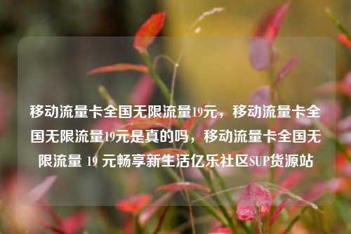 移动流量卡全国无限流量19元，移动流量卡全国无限流量19元是真的吗	，移动流量卡全国无限流量 19 元畅享新生活亿乐社区SUP货源站  第1张