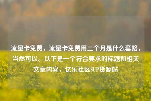 流量卡免费，流量卡免费用三个月是什么套路，当然可以。以下是一个符合要求的标题和相关文章内容	，亿乐社区SUP货源站  第1张
