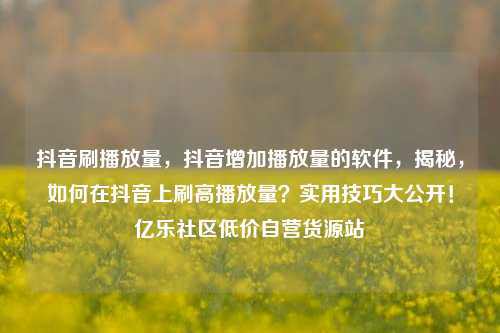 抖音刷播放量，抖音增加播放量的软件	，揭秘，如何在抖音上刷高播放量？实用技巧大公开！亿乐社区低价自营货源站  第1张