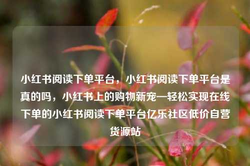小红书阅读下单平台，小红书阅读下单平台是真的吗，小红书上的购物新宠—轻松实现在线下单的小红书阅读下单平台亿乐社区低价自营货源站  第1张