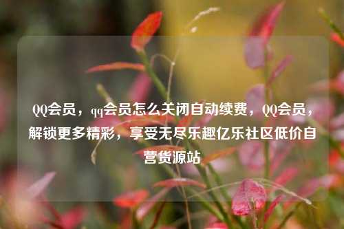 QQ会员，qq会员怎么关闭自动续费	，QQ会员，解锁更多精彩，享受无尽乐趣亿乐社区低价自营货源站  第1张