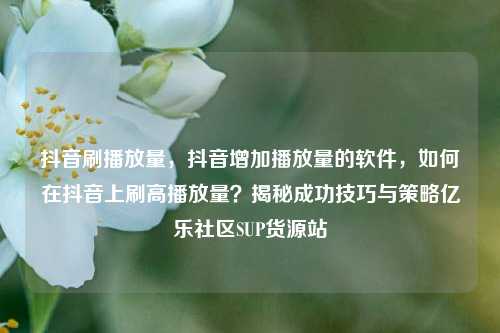 抖音刷播放量	，抖音增加播放量的软件，如何在抖音上刷高播放量？揭秘成功技巧与策略亿乐社区SUP货源站  第1张