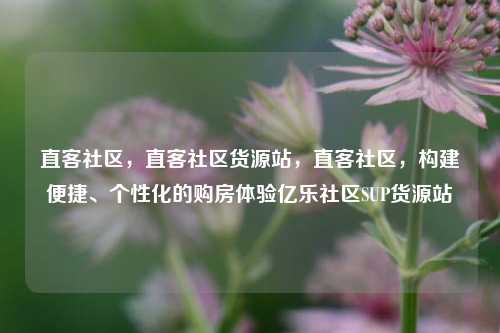 直客社区	，直客社区货源站，直客社区，构建便捷	、个性化的购房体验亿乐社区SUP货源站  第1张