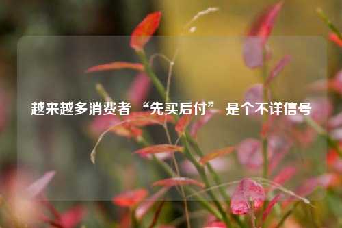 越来越多消费者 “先买后付” 是个不详信号  第1张