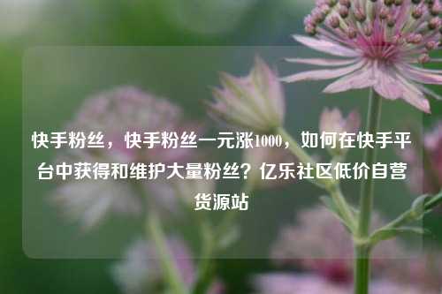 快手粉丝	，快手粉丝一元涨1000，如何在快手平台中获得和维护大量粉丝？亿乐社区低价自营货源站  第1张