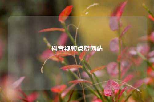 抖音视频点赞网站  第1张