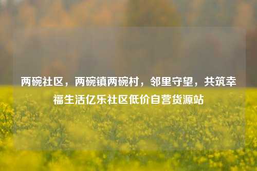 两碗社区	，两碗镇两碗村，邻里守望，共筑幸福生活亿乐社区低价自营货源站  第1张
