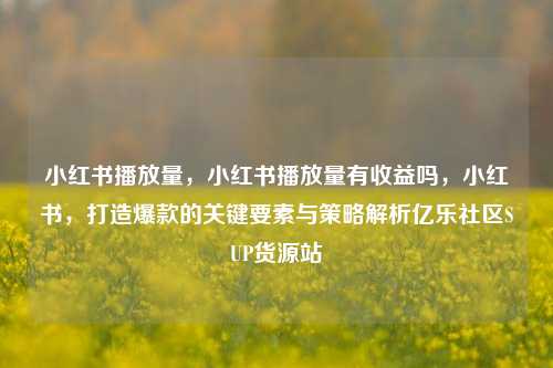 小红书播放量，小红书播放量有收益吗	，小红书，打造爆款的关键要素与策略解析亿乐社区SUP货源站  第1张