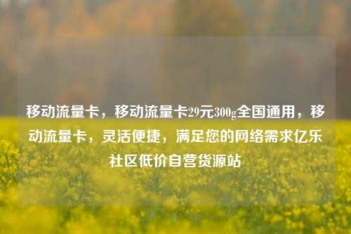 移动流量卡，移动流量卡29元300g全国通用，移动流量卡，灵活便捷	，满足您的网络需求亿乐社区低价自营货源站  第1张