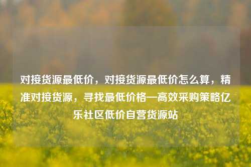 对接货源最低价，对接货源最低价怎么算	，精准对接货源，寻找最低价格—高效采购策略亿乐社区低价自营货源站  第1张