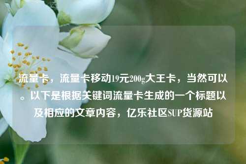 流量卡，流量卡移动19元200g大王卡	，当然可以	。以下是根据关键词流量卡生成的一个标题以及相应的文章内容，亿乐社区SUP货源站  第1张
