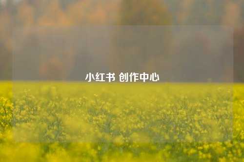 小红书 创作中心  第1张