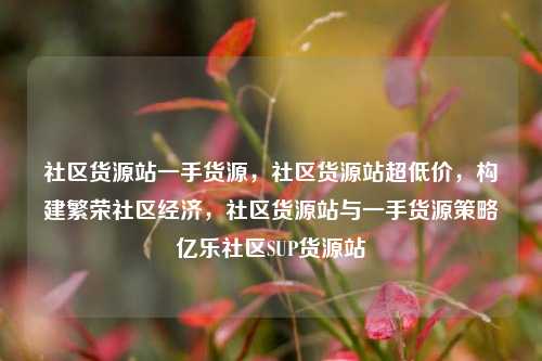 社区货源站一手货源，社区货源站超低价，构建繁荣社区经济	，社区货源站与一手货源策略亿乐社区SUP货源站  第1张