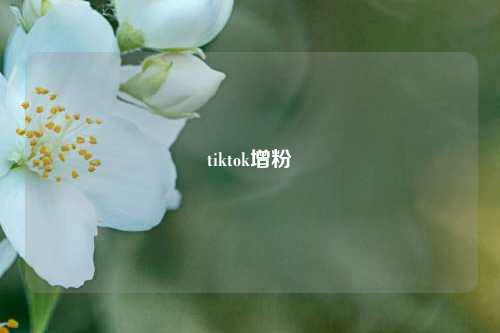 tiktok增粉  第1张