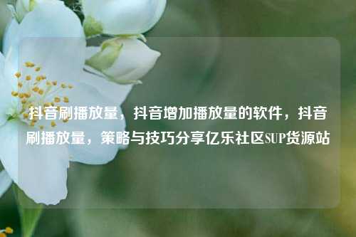 抖音刷播放量，抖音增加播放量的软件，抖音刷播放量	，策略与技巧分享亿乐社区SUP货源站  第1张