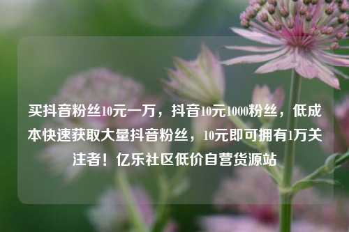 买抖音粉丝10元一万，抖音10元1000粉丝，低成本快速获取大量抖音粉丝	，10元即可拥有1万关注者！亿乐社区低价自营货源站  第1张