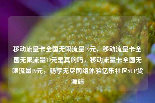 移动流量卡全国无限流量19元	，移动流量卡全国无限流量19元是真的吗，移动流量卡全国无限流量19元，畅享无尽网络体验亿乐社区SUP货源站  第1张