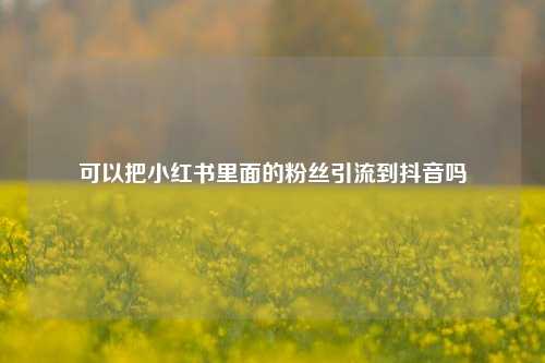 可以把小红书里面的粉丝引流到抖音吗  第1张