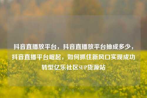 抖音直播放平台	，抖音直播放平台抽成多少，抖音直播平台崛起，如何抓住新风口实现成功转型亿乐社区SUP货源站  第1张